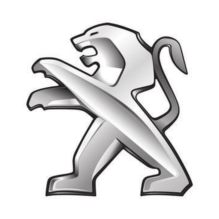 Peugeot Van Dead Locks